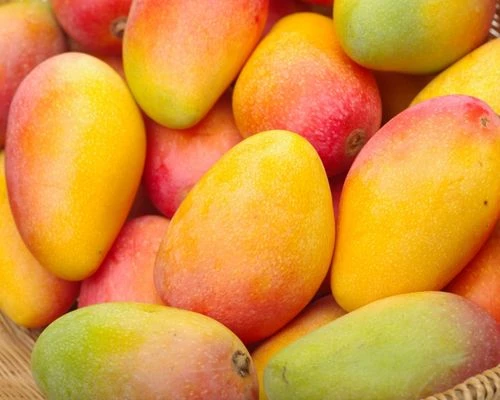 kesar mango