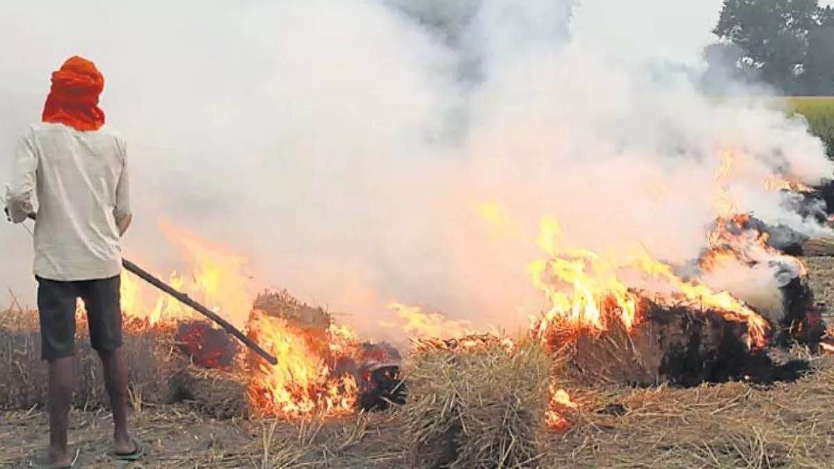 Important advice for farmers of Haryana: Instead of burning stubble, adopt these measures, the soil will become more fertile