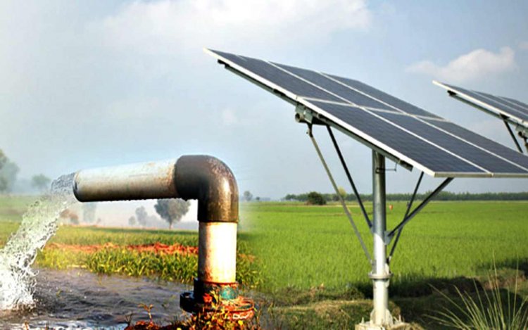 Farmers in Haryana will get solar pumps at 75% subsidy: Applications will start from April 8, know the complete process