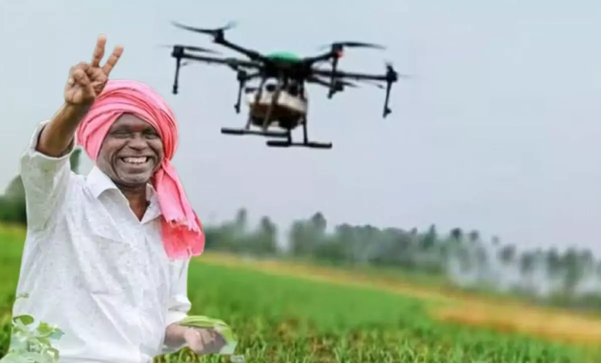 हरियाणा में किसानों के लिए बड़ा फैसला: ड्रोन से होगी फसलों की बीमारियों की पहचान, पायलट प्रोजेक्ट शुरू