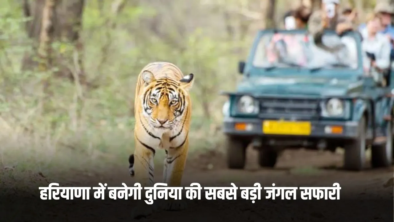 हरियाणा में इन लोगों को मिलेगा रोजगार, जंगल सफारी से इको टूरिज्म का नया केंद्र बनेगा Haryana