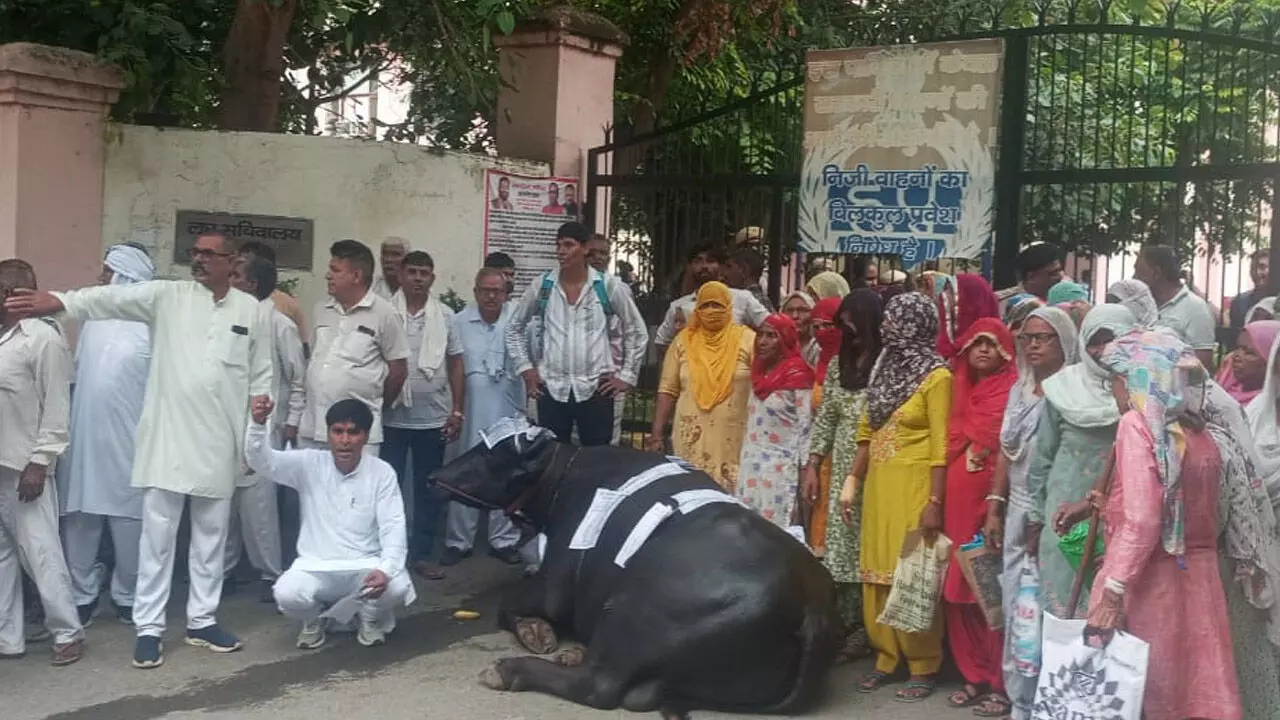 झोटा लेकर DC ऑफिस पहुंचे ग्रामीण: सीएम के आदेश के बावजूद BPL परिवारों को नहीं मिला प्लॉट का कब्जा